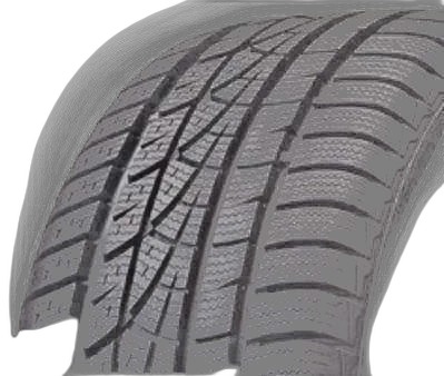 Hankook Winter i*cept evo W310