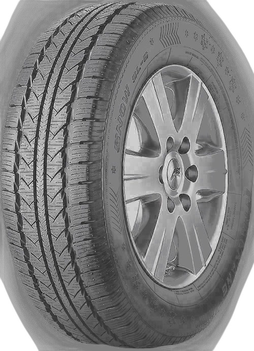 Nankang Winter Activa SL-6 