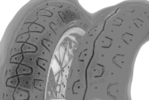 Pirelli Phantom Sportscomp