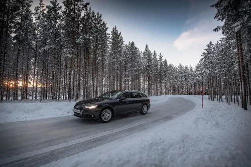 Bridgestone Blizzak LM-005 - 15