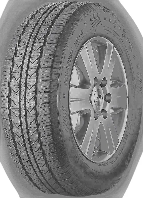Nankang Winter Activa SL-6 